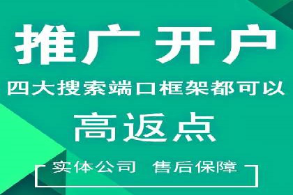电商行业SEM运营的挑战与成功案例